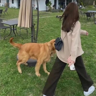 特工总裁小辣妹